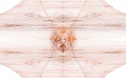 2014 05 11 Counting the Cost 026-white.jpg